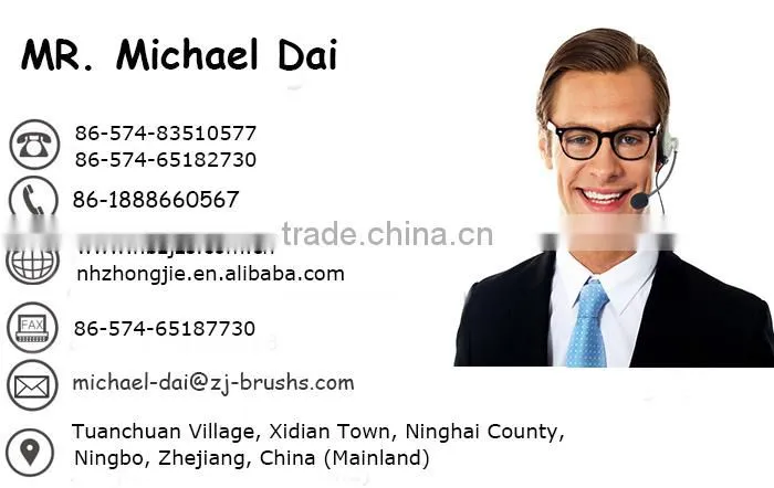 Factory Price Professional Promotion Price cleaning squeegee