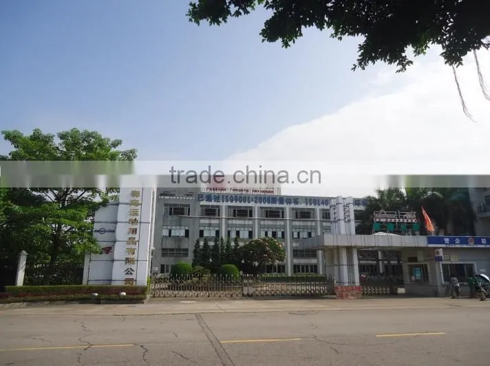 Guangdong Senhai Sporting Goods Co., Ltd. company overview - view 2