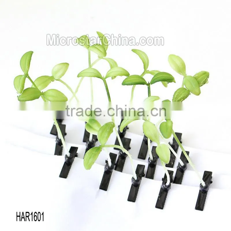 2015 Hot Holiday Gifts Bean Sprout Hairpins Bean Sprouts Flower Fruits Plants Grass Antenna Hairpins