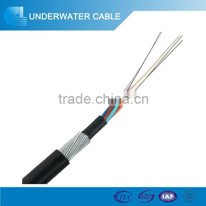 96 Core GYTA53 Double Sheaths Fiber Optic Cable