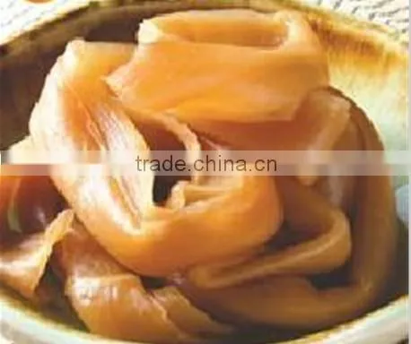 Kanpyo sushi gourd