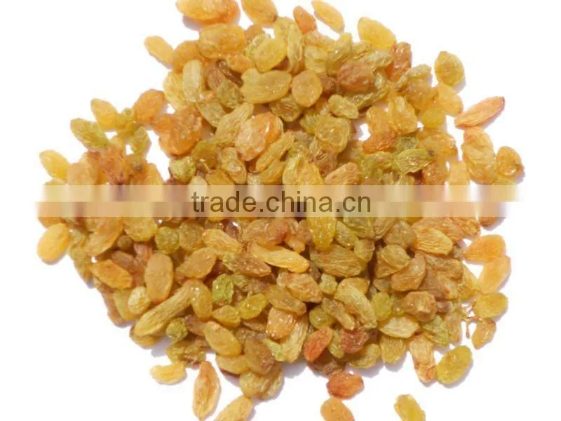Dried Raisins