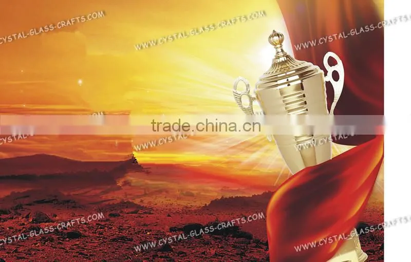 2016 new coming metal award trophy cup from China wholesale