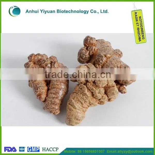 Useful Chinese Herb Medicine Radix notoginseng
