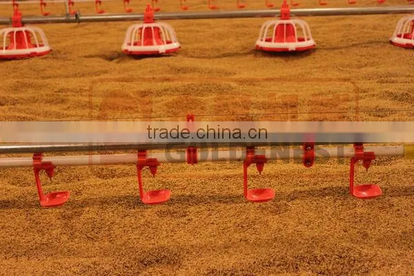 poultry farm feeding equipment