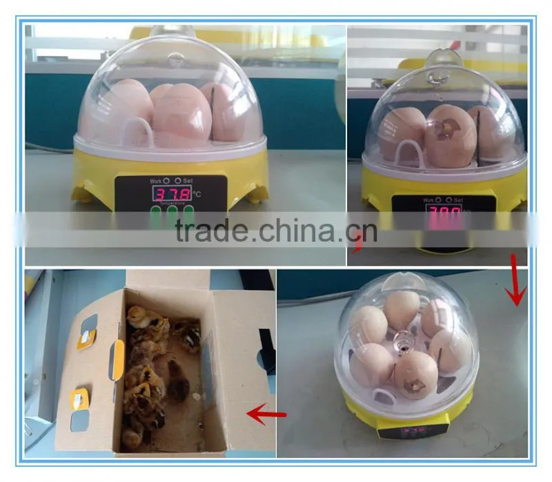 HHD EW9-7 for 7 Eggs portable 98% Hatching Rate CE Approved automatic mini icubator used from China