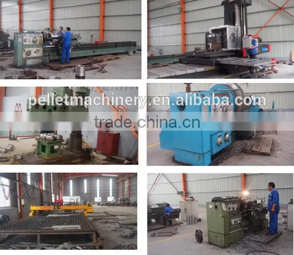 Biomass Burner For Supply Steam Heating for Boiler Sale to Industry