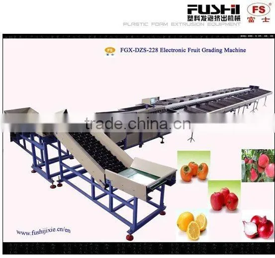 Automatic Sorting Machine