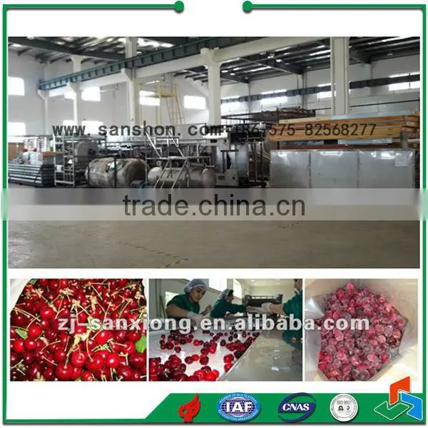 Fruit Fluidized Quick Freezer Machine
