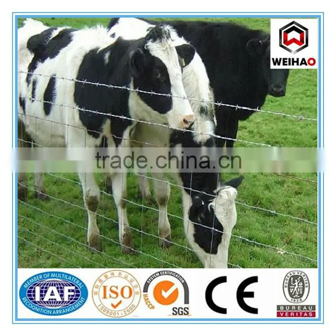 grass land fence(professional manufacturer,best price and good quality)