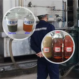 Chongqing HOPU Filtration Plant Manufacture Co., Ltd company overview - view 3