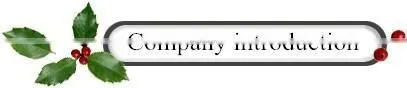 HILUX use Den-so fuel injector 23670-09360