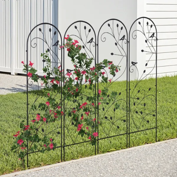image (62).png