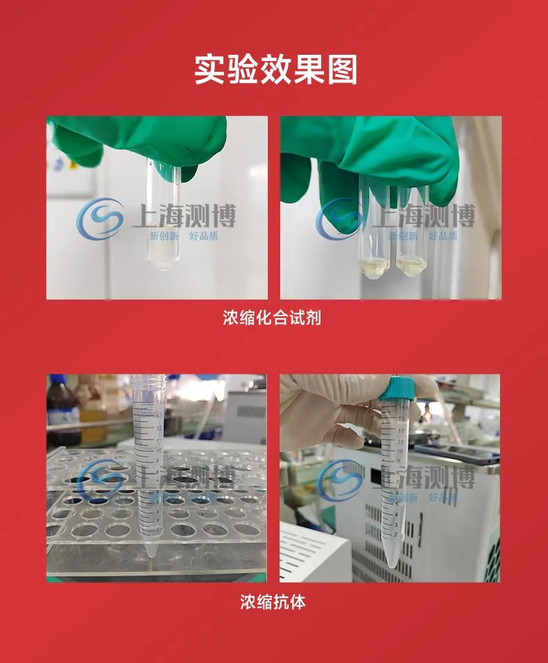 CBNSY-真空离心浓缩仪-测博_11.jpg
