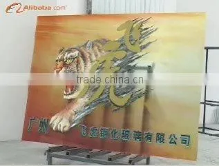 DG-01 Tempered frosted glass