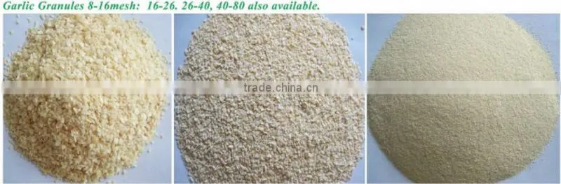 2016 new Chinese Dehydration garlic grain