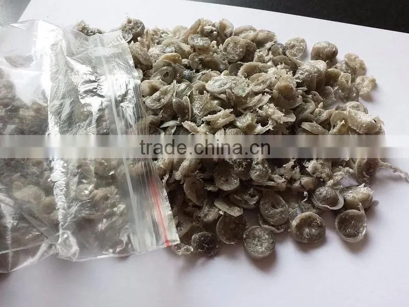 plastic recycling vending machine