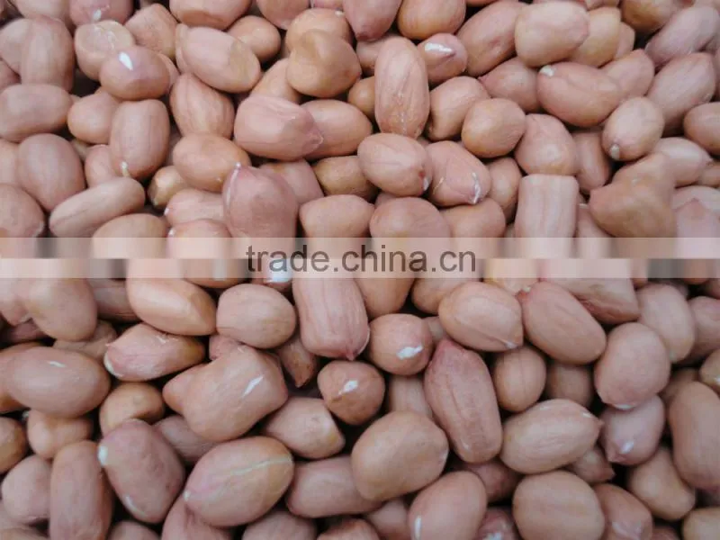 best selling products raw peanuts without shell bulk peanuts for sale raw peanuts prices