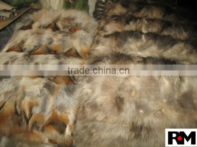 FOX PLATE/BELLY PLATE/HEAD PLATE