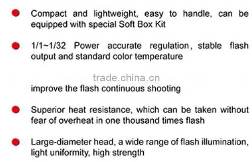 JINBEI Professional Studio Flash 250W D-250 Kit 2, Photographic Flash Kit, Strobe Kit, Photographic Equipment