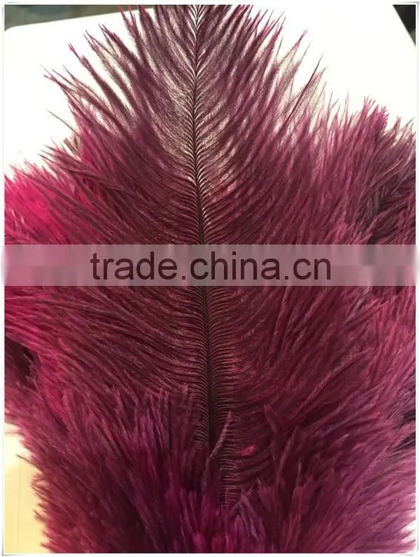 ostrich feather duster for house cleaning