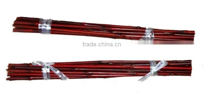 bamboo plant green color stakes