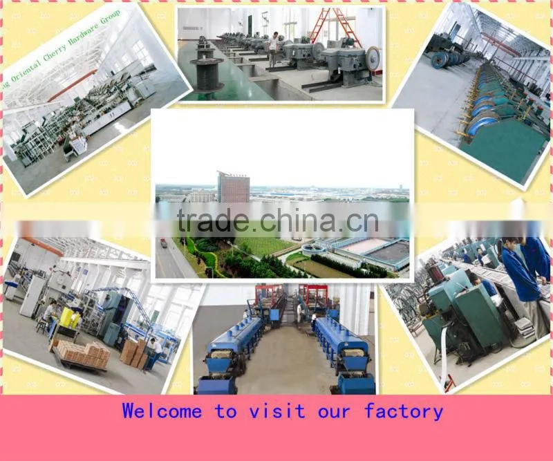 coil nail manufacturer