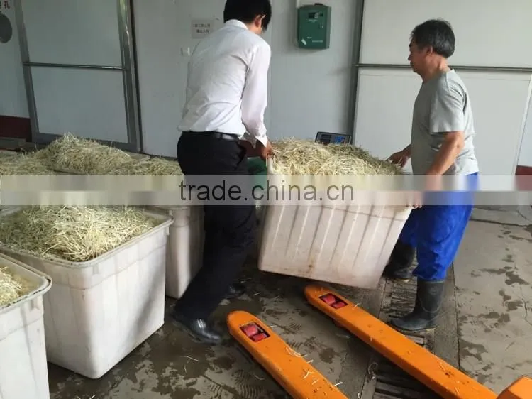Full-automatic Bean Sprouts Machine(CE)