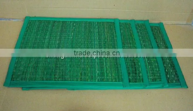 Nice Color Seagrass Placemat With Lining