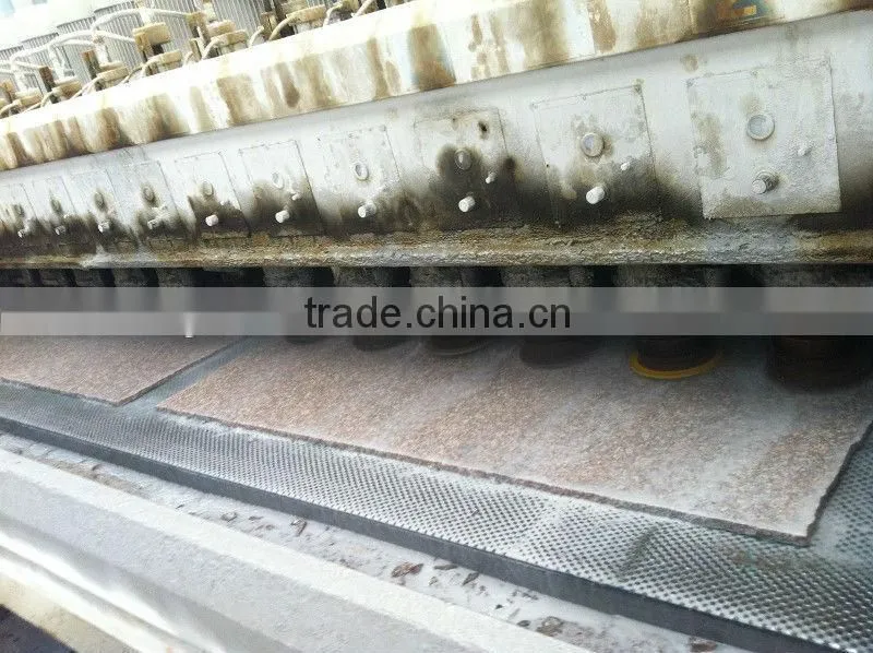 china granite G664