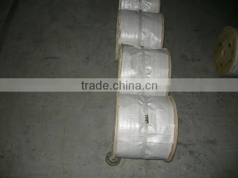300 Series Grade and AISI,ASTM,DIN,EN,GB,JIS Standard galvanized wire rope