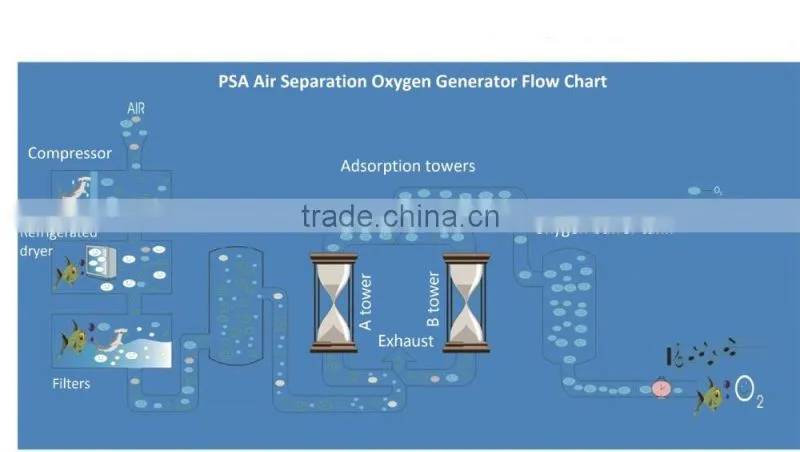 Manual Psa Oxygen Gas Equipment with Atlas Copco compressor
