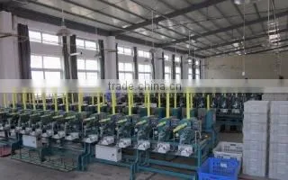 Suqian Xinzhe Thread Co., Ltd. company overview - view 2