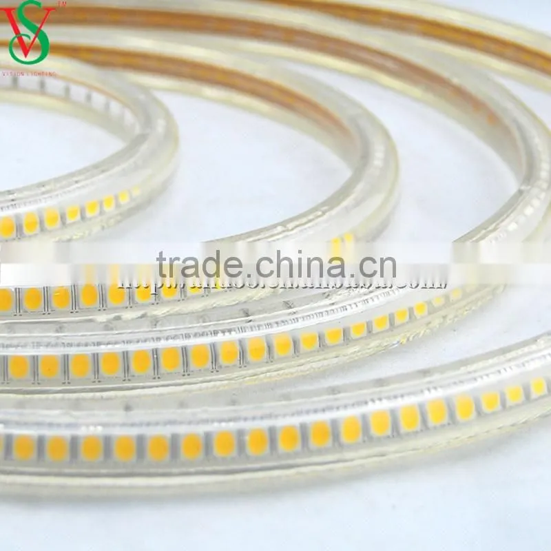 SMD 5050 Rope Strip Light