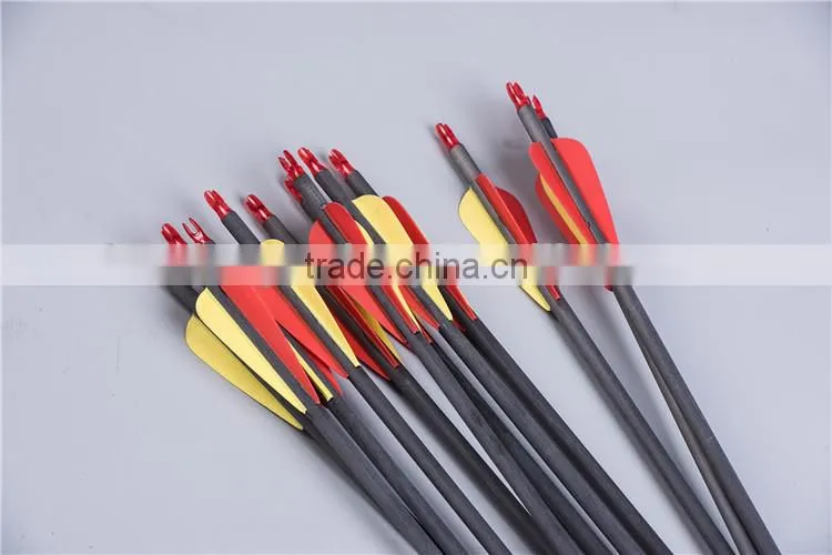 Archery Carbon Fiber Arrows With Plastic Vanes Fit For Compound Bow