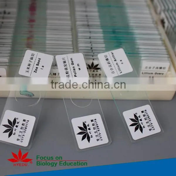 Botony slides Individual microscope prepared slide