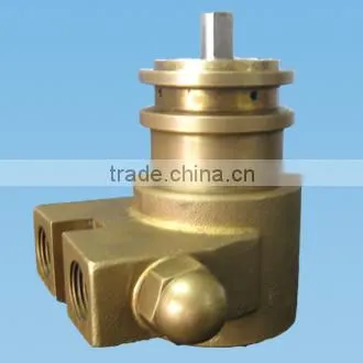 reversible water pump