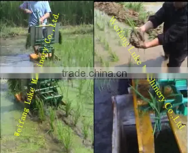 rice farming machinery for rice planting