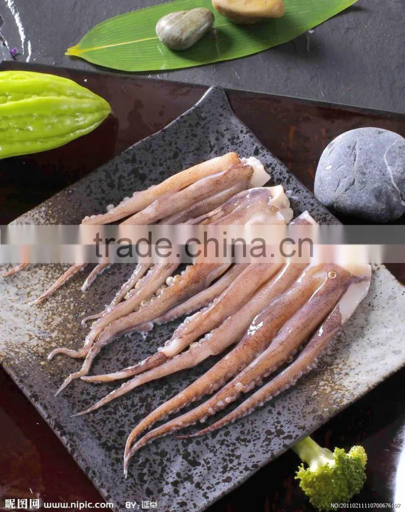 Frozen todarodes squid tentacles