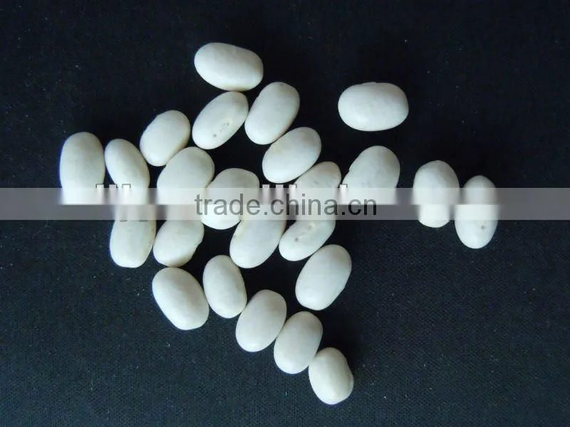 White Kidney Beans