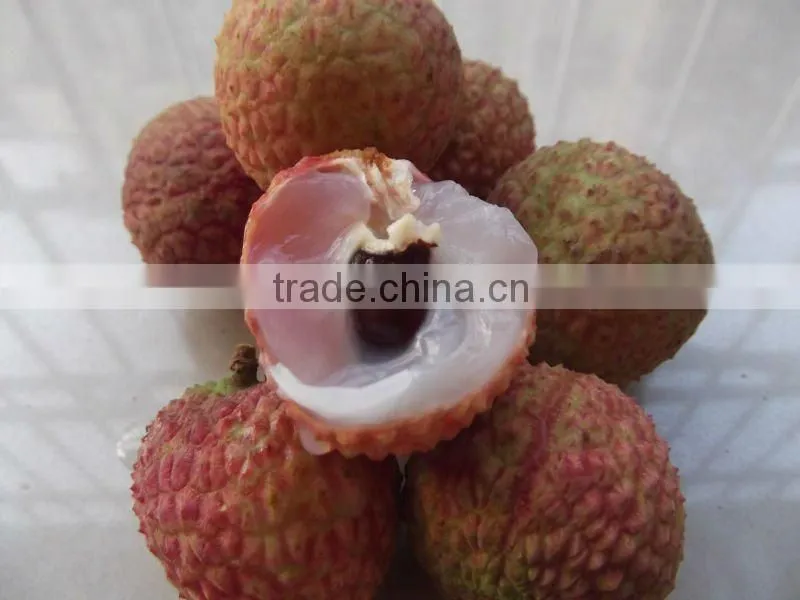 2016 Fresh Fruit Lichee from China