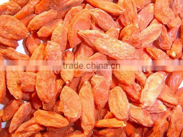 Barbary Wolfberry Fruit