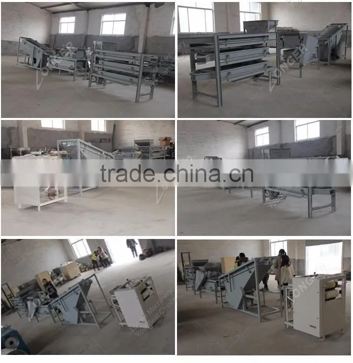 Professional Almond Sheller/Almond Cracking Machine with Price