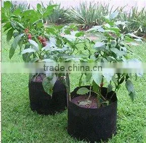 PP Non woven plant basket