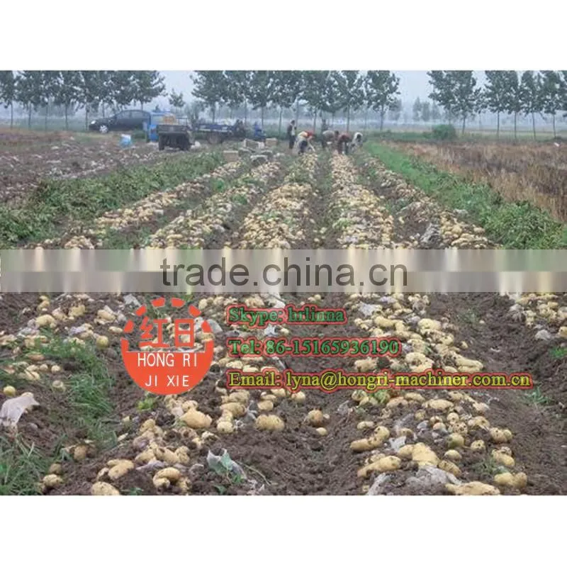 4u 1600 combine potato harvest machine