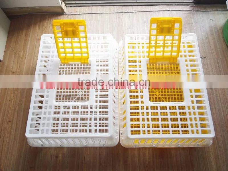 Best selling plastic crate for chicken transportation