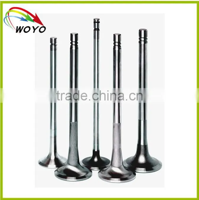 Automotive Iron sleeve Valve for tractor diesel engine