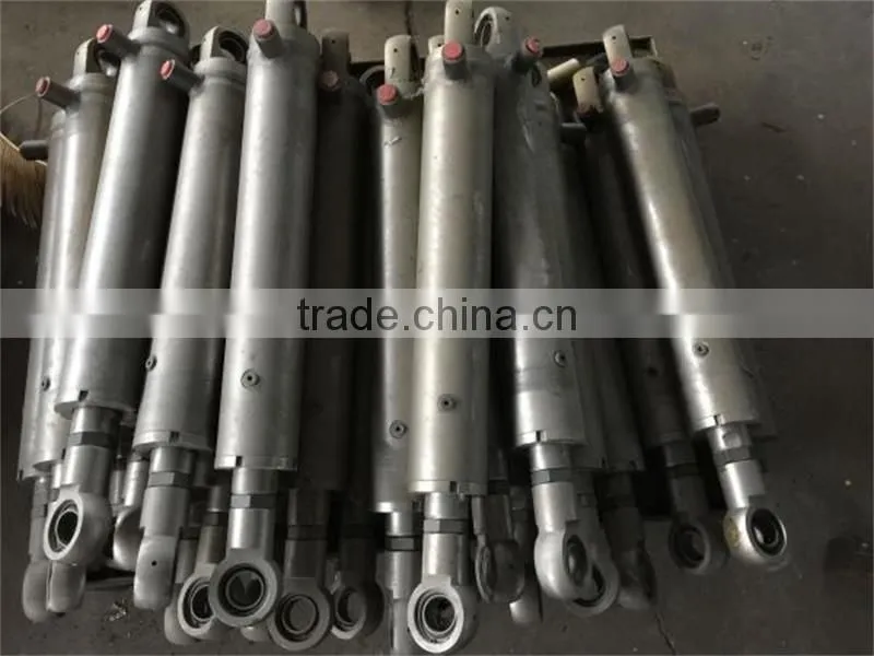 AISI stainless steel 304 hydraulic cylinders for special application