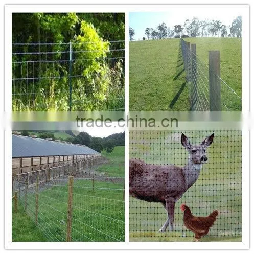 alibaba express CE&ISO9001 metal cattle fence(pro manufacturer)