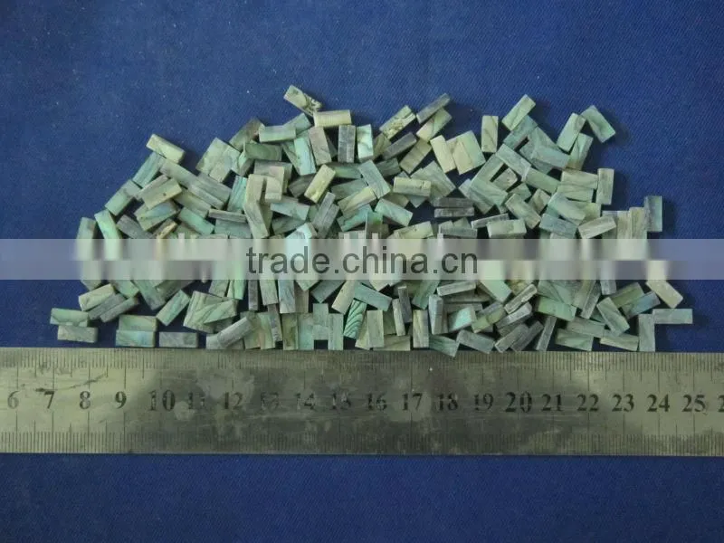 square cut thick abalone paua shell blank inlays
